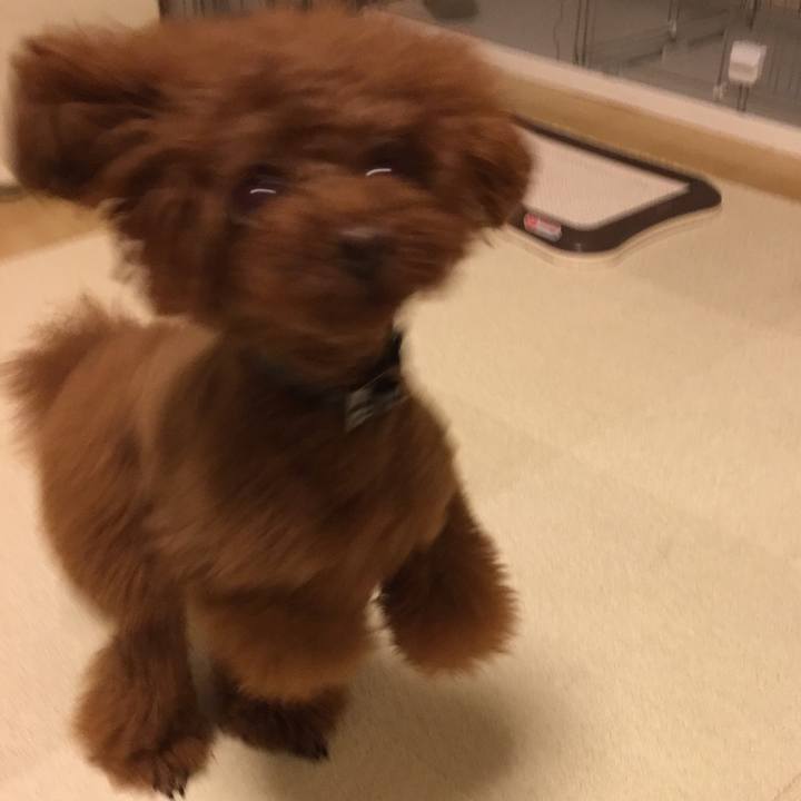 594579a2 909f 4588 be26 f192e0af6a52