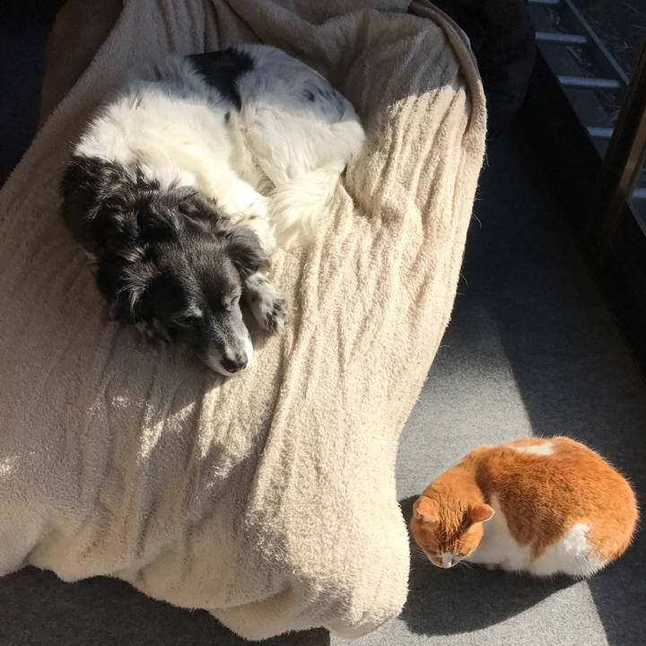 5945cfd9 9a14 4f70 9e5b 55fa3f9043b6