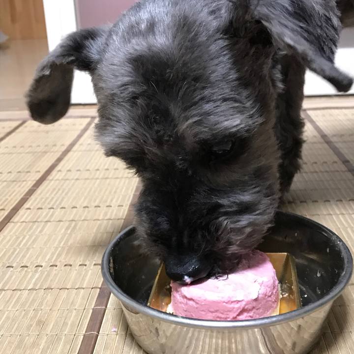 5945cfe5 0755 447d a436 4a3466351ec2