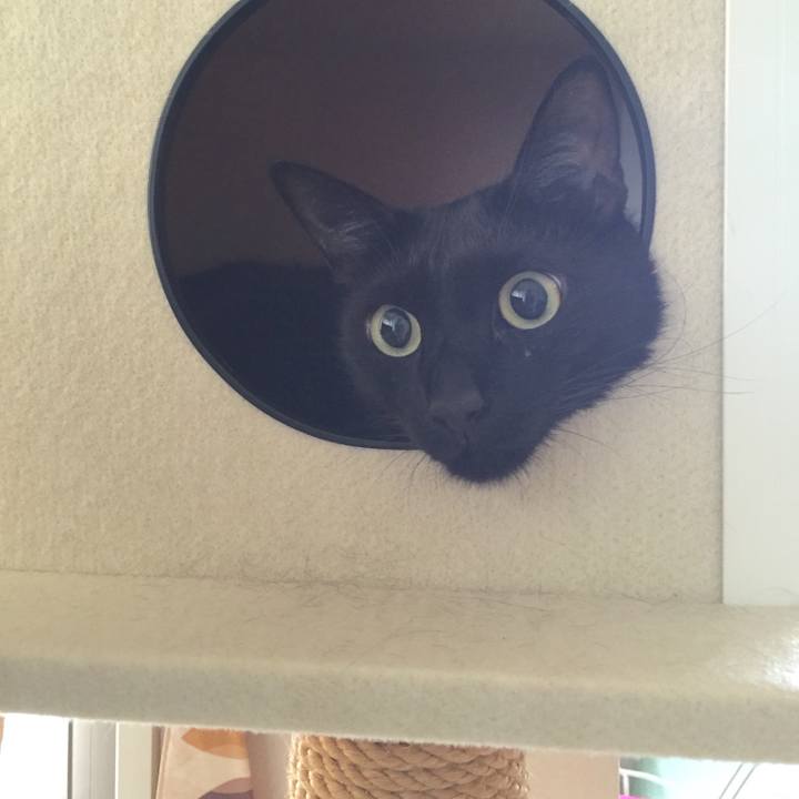 59478b67 f421 47f4 98e0 0d0eb111d449