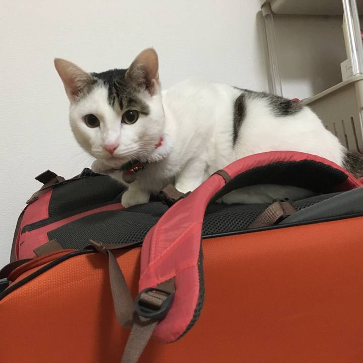 5947c8b0 6b2e 430a bc60 c2de23cd6c53