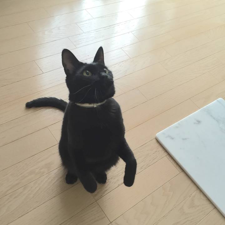 59491dfe be4e 4e4b bec3 a12654805fd8