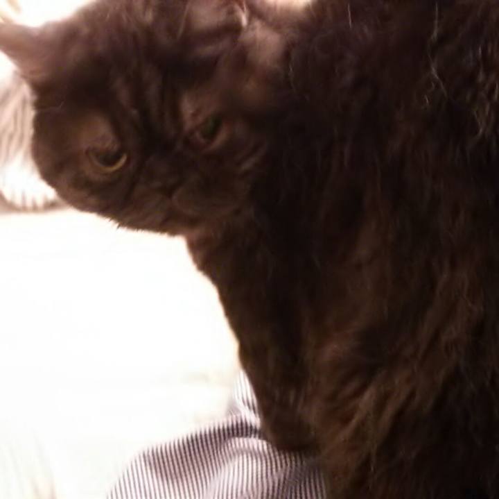 59494055 37fd 4a63 aaf6 14243615dfc1