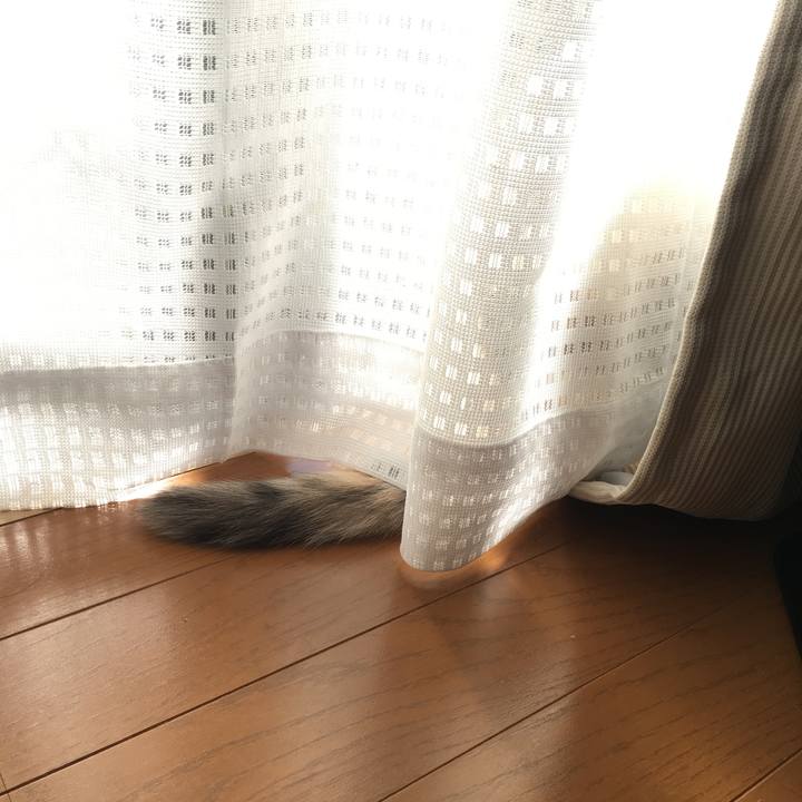 59494739 9598 4140 9f55 d84eee414c83