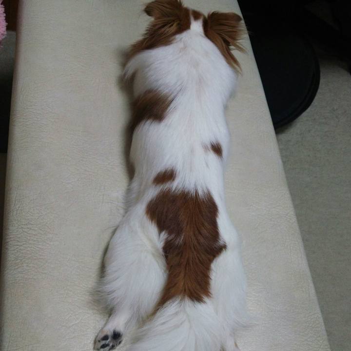 5949c4f8 e13f 420d a23b 6ad3fe7abb36