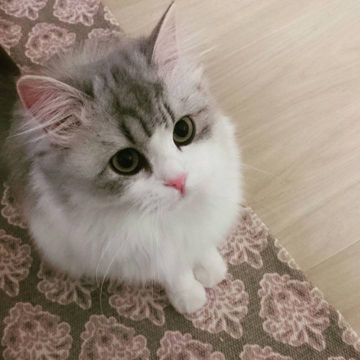 594a6adf 169e 4a7c adf3 f9fbeb71d1dc