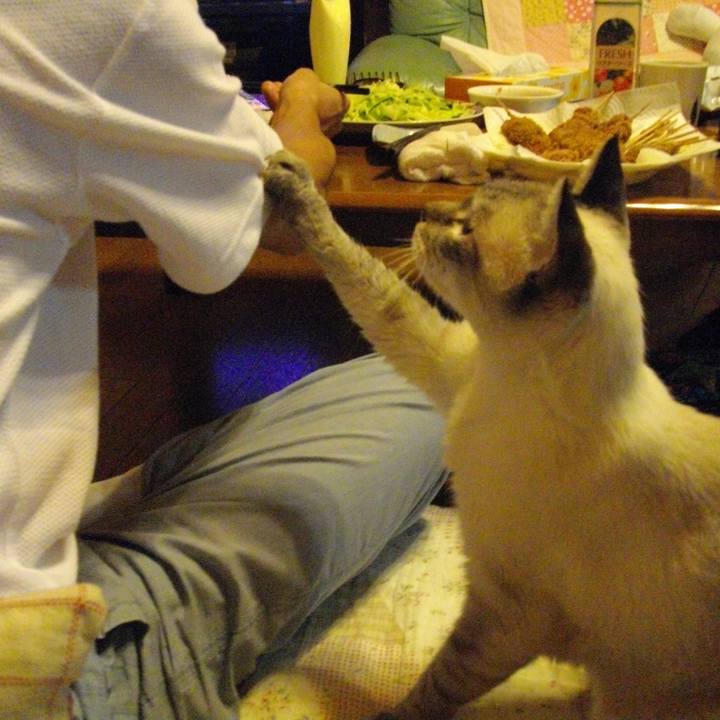 594aaf34 432c 4b91 b758 05a04c9783c7