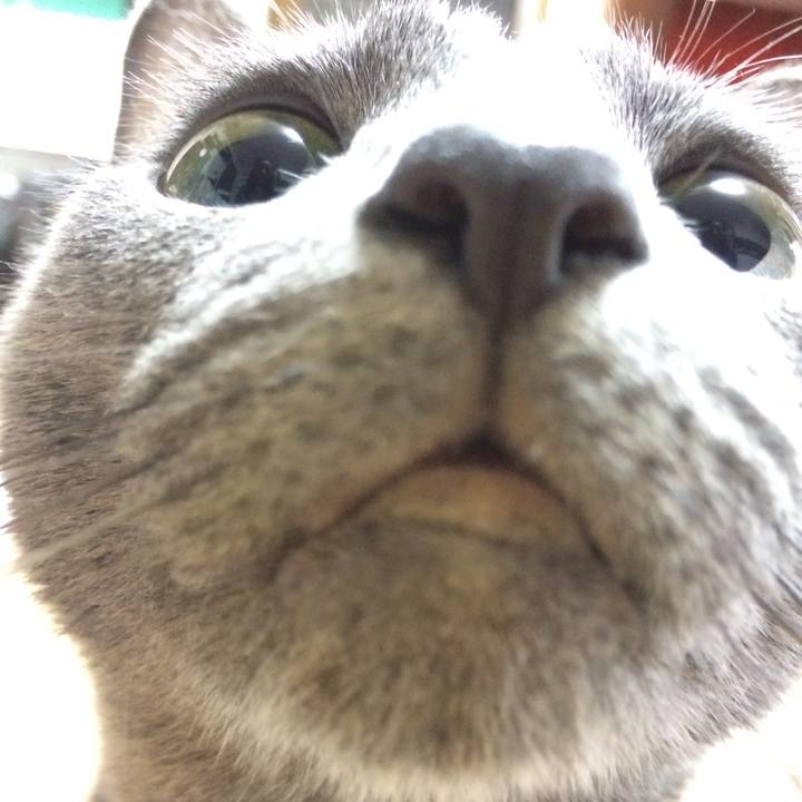 594afc67 1c50 4521 8c2f 7cab83e8df87