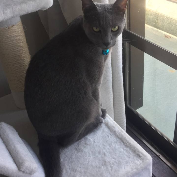 594b13db bcc6 4f22 8845 f85caaa5fe71