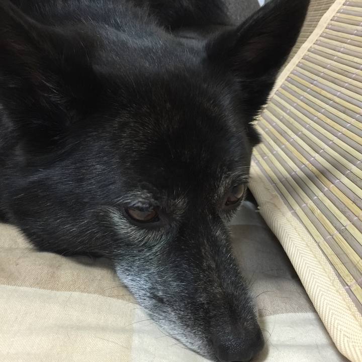 594b1e26 584c 4988 a56a 88c694ea511e