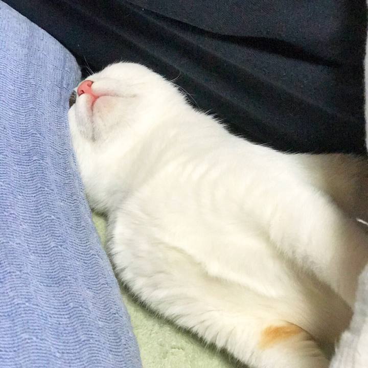 594b7110 0d0d 4e40 a135 874ce139d3fe