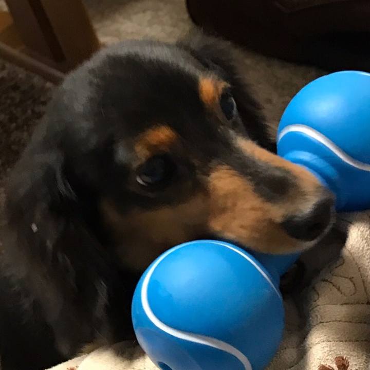 594b973a cb4c 4f73 810f 6df149fe3cba