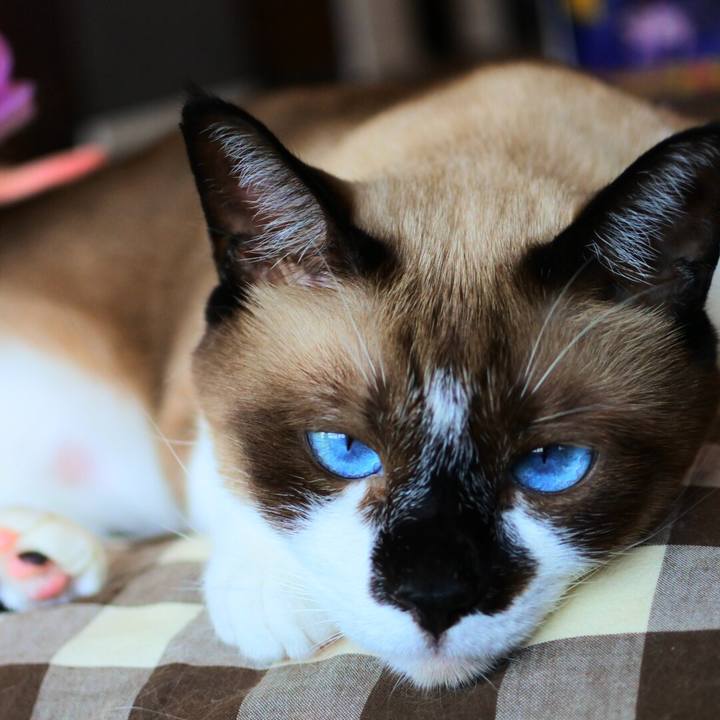 594caa28 6ebd 4df4 a4c7 59e54f4aca95