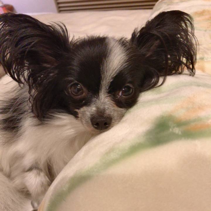 594d05fb 8dc9 4a77 89c4 6eb0ae23eba9