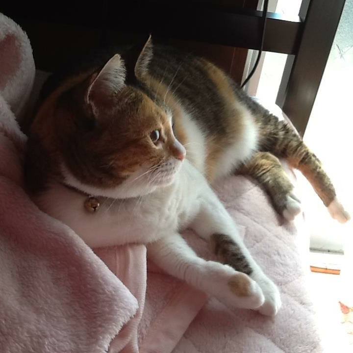 594d3b31 1fef 4565 b96f 3300d930f539