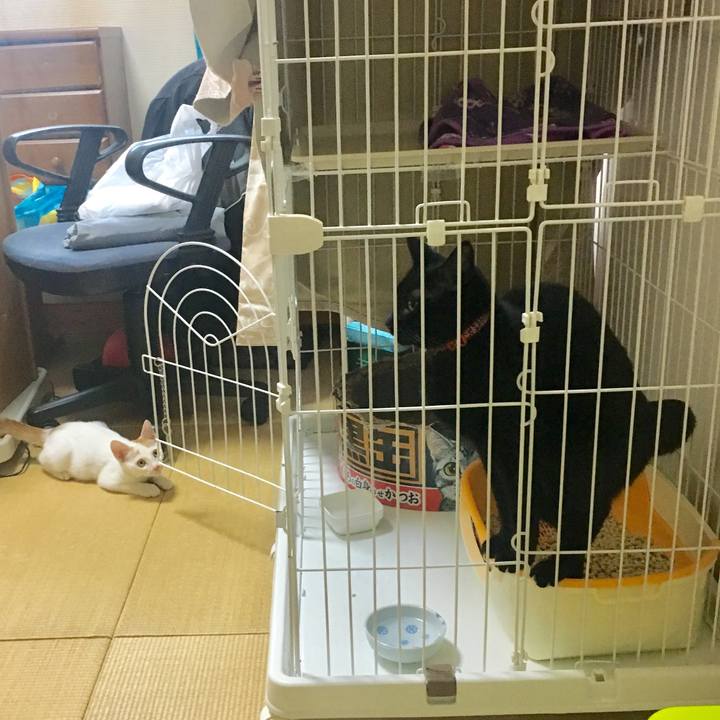 594dac06 8c28 4547 b527 5347a07ef07f