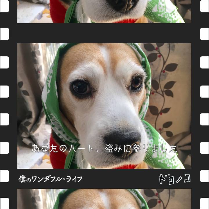 594e30af 5a17 494c 8e5d 5be779b68d50