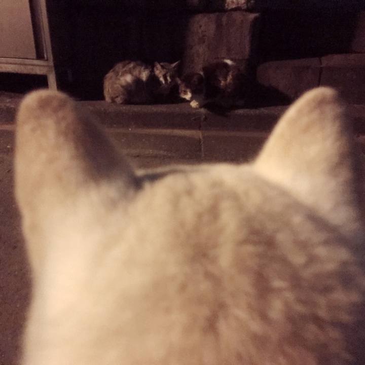 594e9cb7 7950 409b b9b7 8bf2ffb453b9