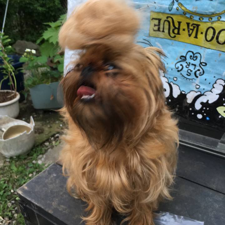 594efb3f 3811 4fbb a513 651708ec53c5