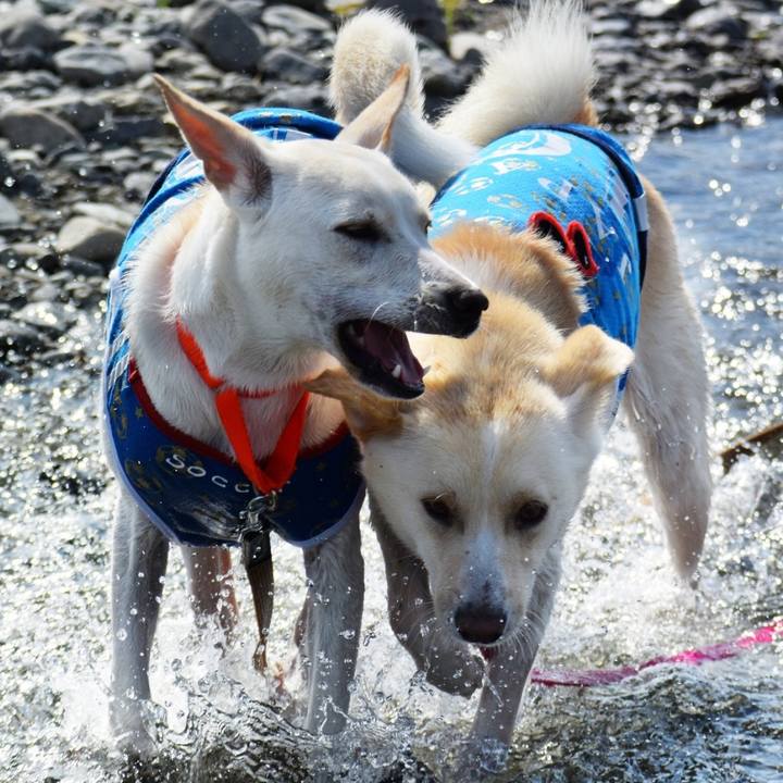 594f2bf7 e3aa 41ac 927b c8baa7ba4e5f