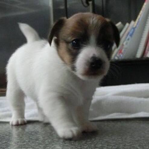 594f657b 65f2 4666 bed3 b186e9903d4d