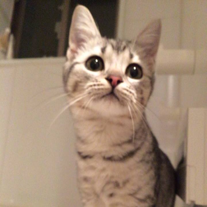 594fd246 445c 469d 8d4a 870ee74a27c4