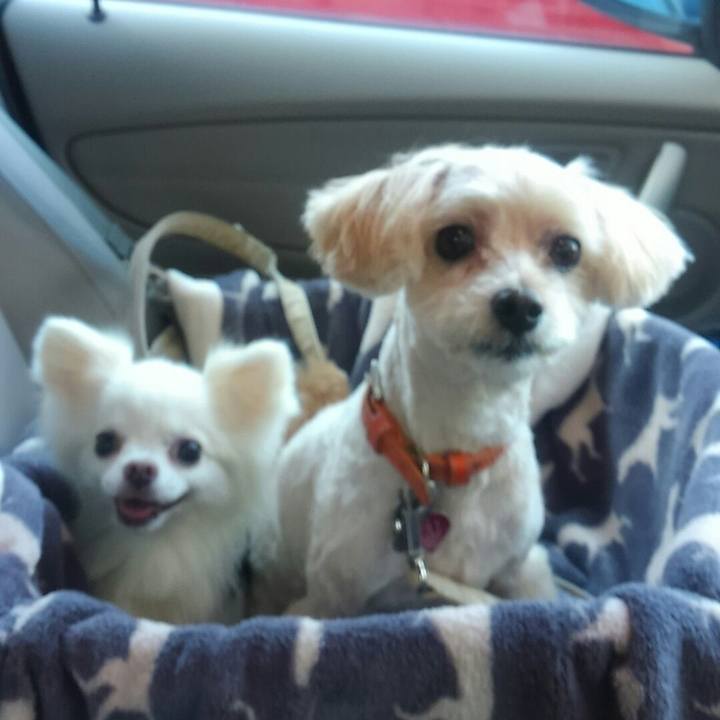 59502ea3 c10d 4ac4 bd50 0850f73eb11d