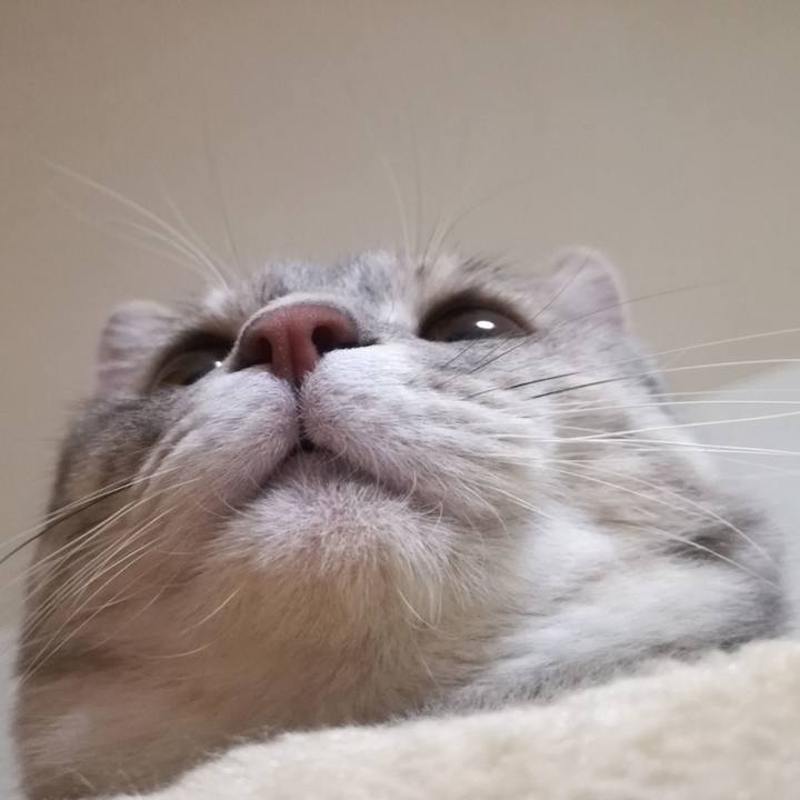 59505861 67d0 4ccb 8106 6bddd1935184