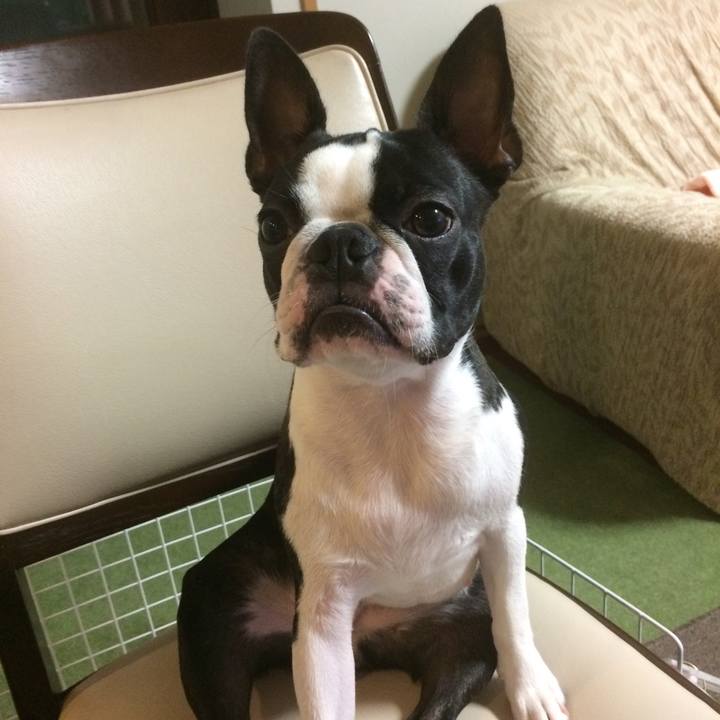 59506db3 0d85 4fa0 b64a 3d378ae34b24