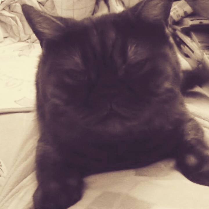 5950c952 8990 4882 a720 bd87b4364084