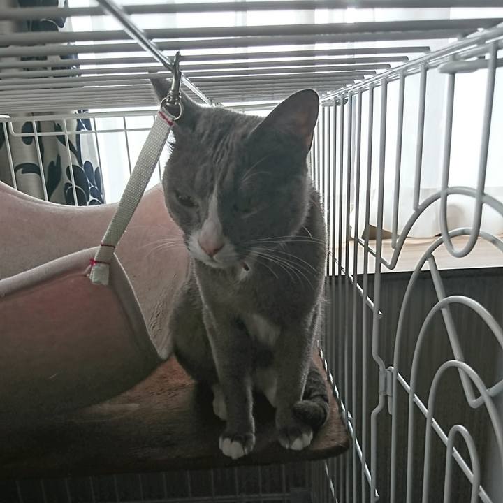 59515413 44bd 4e0a 8047 480f32e40cf6