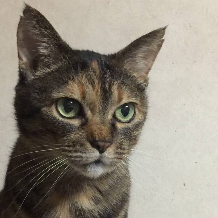 5951b668 5d59 4d39 81a4 8580158891ce