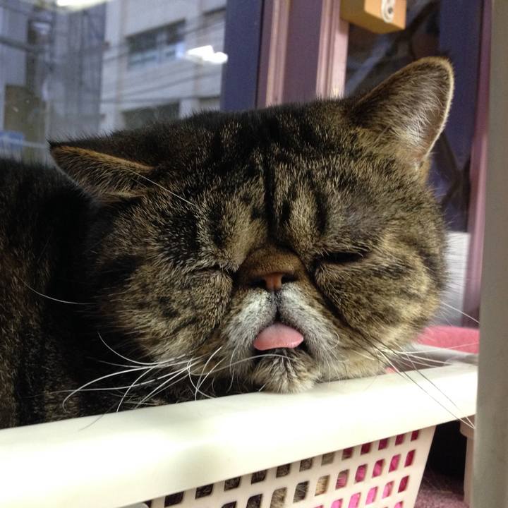 5951efef d845 4b92 8f9a db664cdf6ee9