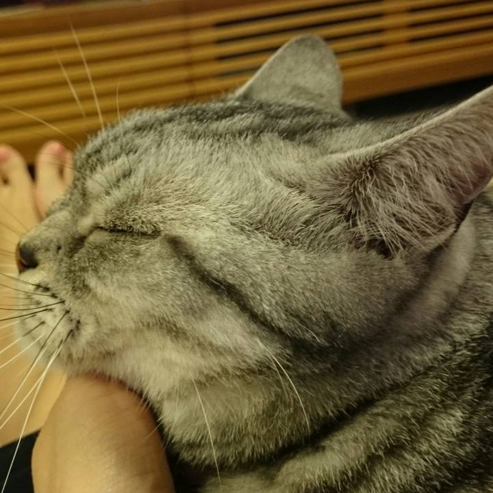 595212a7 7c5c 449b 824c f801b2098d66