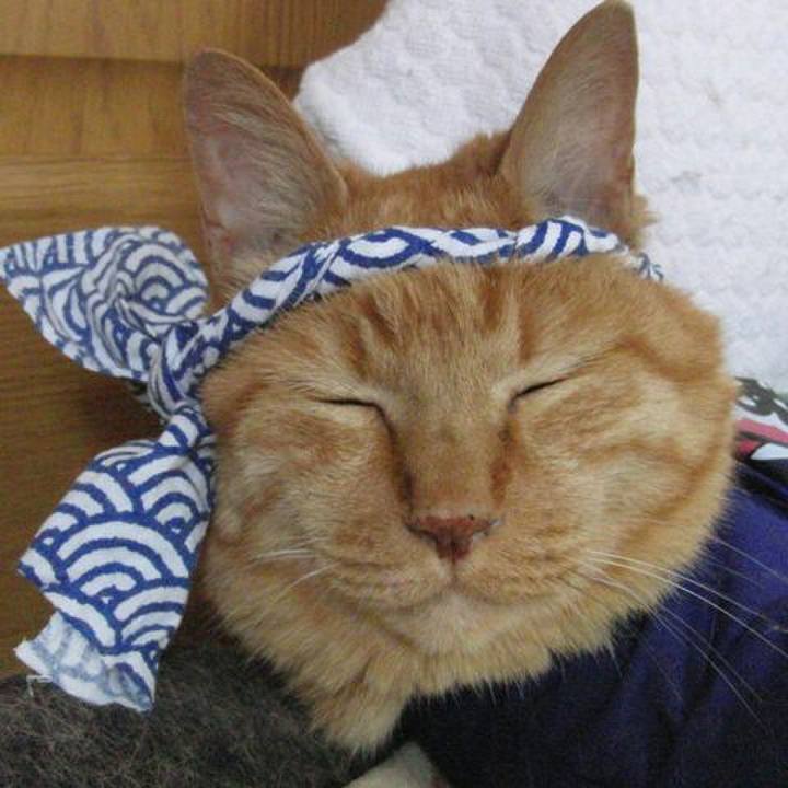 595221e0 0117 406c ba9a 5adb9713ef53