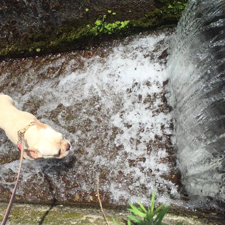 59528f38 ebe7 4d5a ba4b 339e040e8814