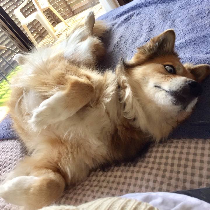 5952ef01 6dee 4de9 a8e3 219add20cc31