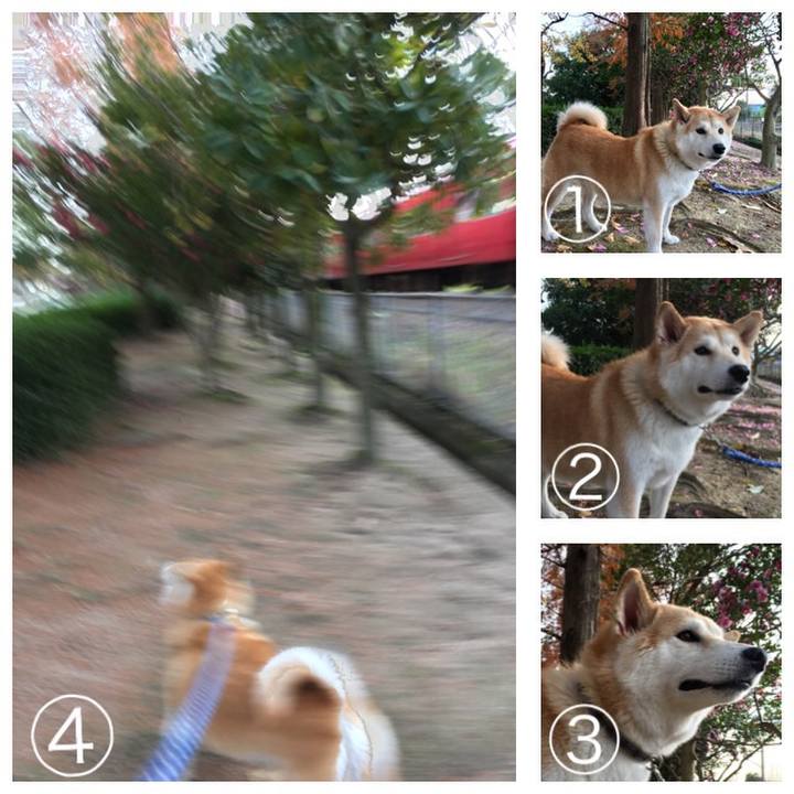 59530f2d e18f 4918 bc88 7283b25b947e