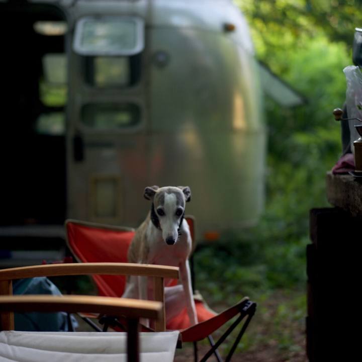 59531ddd a46f 478d 9674 83d7e1c07200