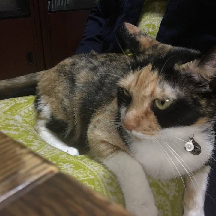 5953ee38 6c0c 4c1b 9407 0a6befef607b