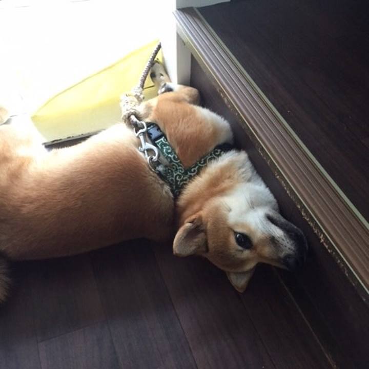 595415d1 1a3e 44db 8524 653e1e14bdad