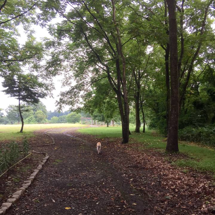 5954f8a4 65c3 4eeb 8b9b 075774abdef1