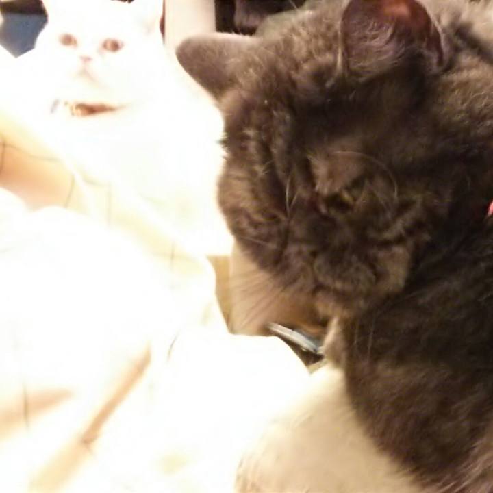 5954f91e 027e 41ad a32e 7e7f734090da