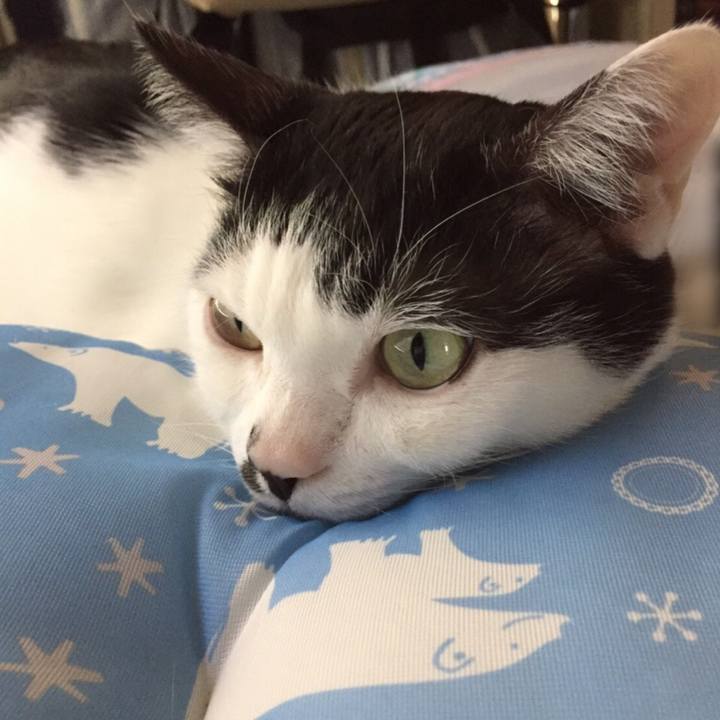 59556324 b030 47ff b5c6 e5dfaa4686bc