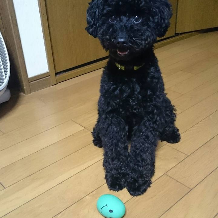 595573d4 fc67 4171 b46c 2cf340863b6f