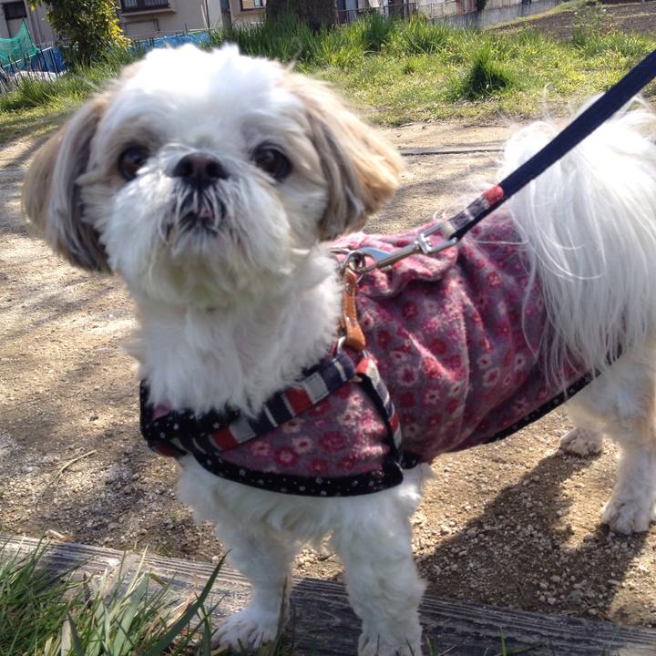 595637fe c916 4b8b 9938 25ee08d2517e