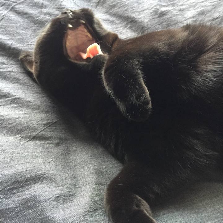 59565f7a a236 4663 8a06 a46cd435477d