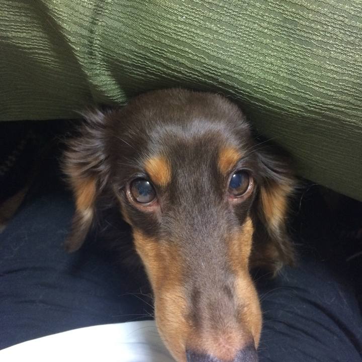 595705d0 16ee 4994 ab71 d562d5cca18e