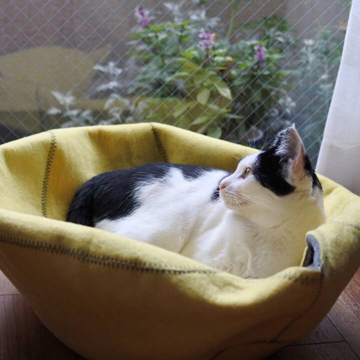 5957f6e5 2166 4910 a38f 55017c8fe7bb