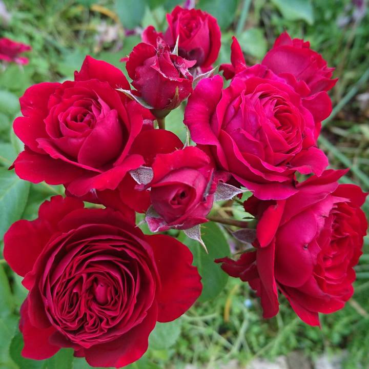 5957fecc e4a2 4f3b 96d7 2e65d4a698b3